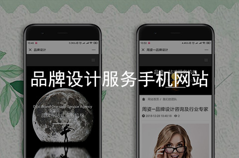 品牌設(shè)計服務手機網(wǎng)站制作案例